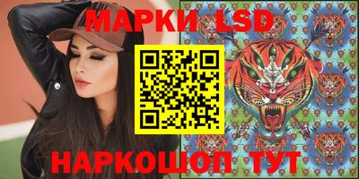 прущие грибы Краснодар