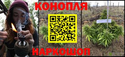 прущие грибы Краснодар