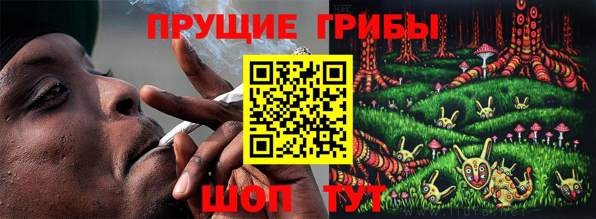 наркошоп  Псилоцибиновые грибы мицелий  Галлюциногенные грибы Cubensis  Вход с VPN  Красноармейск 
